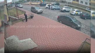 Жительница воронежского ЖК разгромила лавочку молотком 