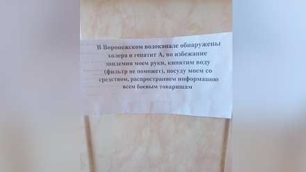 Водоканал отреагировал на слухи о найденных в Воронеже холере и гепатите А