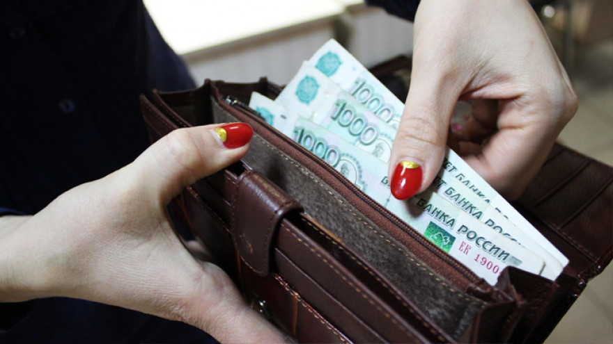 Среднемесячная зарплата в Воронежской области за год выросла на 10,8%