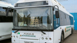Воронеж получит ещё 58 новых автобусов от Минтранса