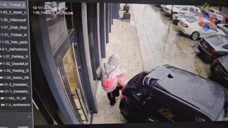 В Воронеже автомобилистка под камерами едва не задавила мать с ребёнком