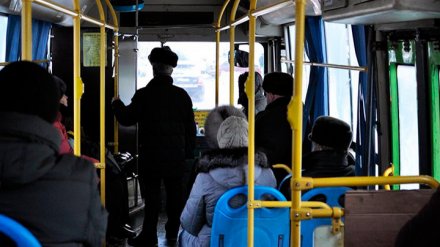 Губернатор высказался о повышении стоимости проезда в воронежских маршрутках