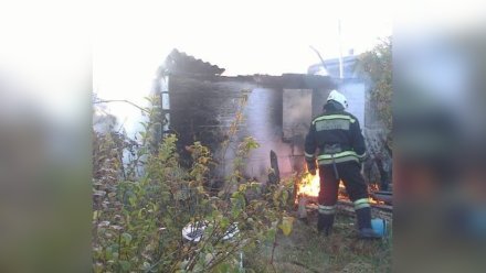 Дом сгорел дотла в воронежском селе