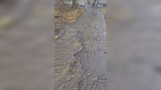 Потоп на Лидии Рябцевой в Воронеже устранили спустя сутки