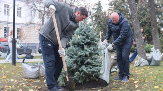 Мэр Воронежа помог с высадкой деревьев в сквере Никитина