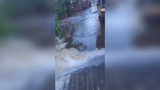 «Люди проваливались по колено». В Воронеже рынок утонул в странной жиже