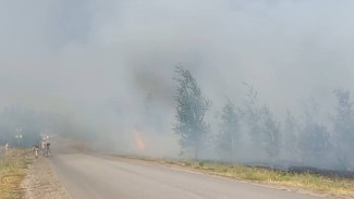 В Богучаре установился 5 класс пожарной опасности