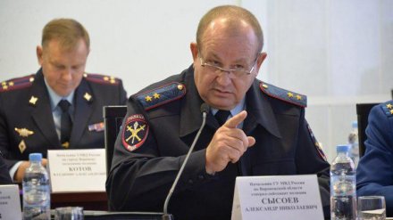 Начальник воронежской полиции о ТЦ: «Только прибыль, больше их ничего не интересует»