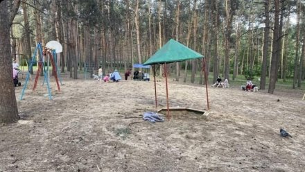 Воронежцы пожаловались на ужасающее состояние детских площадок в популярном парке