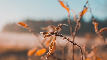 Прогноз погоды в Воронеже на 26.11.2025