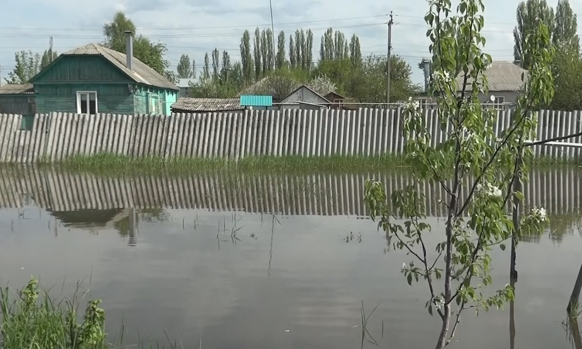 Сотни семей без урожая. Микрорайон в воронежском райцентре затопило грунтовыми  водами – Новости Воронежа и Воронежской области – Вести Воронеж