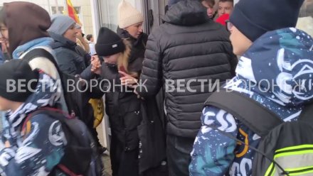 Следком начал проверку после давки в школе №103 в Воронеже