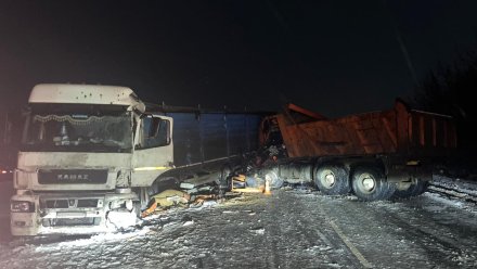 Два КамАЗа столкнулись на трассе в Воронежской области