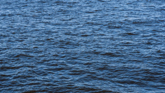 Пенсионерка утонула в Усманке под Воронежем