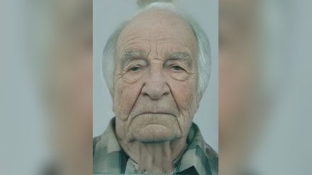Воронежские волонтёры начали поиски бесследно пропавшего 78-летнего мужчины