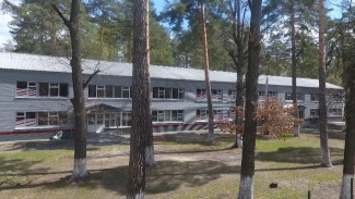 Все эвакуированные из Донбасса покинули воронежские детские лагеря