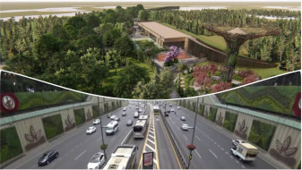 Метробус и большой активити-парк. На что воронежцы возлагают надежды в будущем 