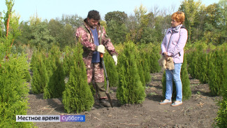 Воронежский агроном рассказал, как правильно рассадить декоративные растения