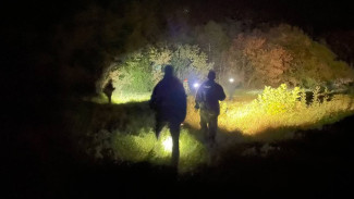 Замёрз насмерть на пакете с опятами. Воронежские волонтёры рассказали о поисках пропавших