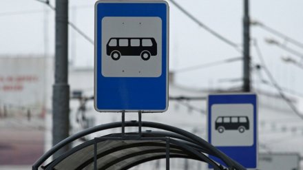 «Опасно и тревожно». Жители микрорайона под Воронежем пожаловались на отсутствие маршруток