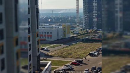 Жители воронежского Шилово заявили о пожаре в лесополосе