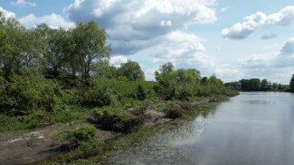 Воду в Дону в Воронежской области исследуют по 11 показателям