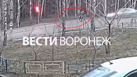 В Воронеже две девушки попали в больницу после столкновения самоката и Hyundai 