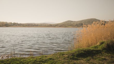 Воронежцам восстановили свободный доступ к реке в Рамонском районе