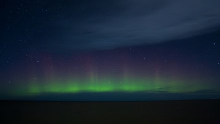 Небо над Воронежской областью украсило северное сияние