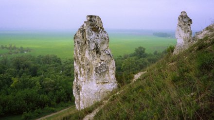 За меловыми останцами в воронежском «Дивногорье» присмотрят видеокамеры