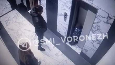 СК возбудил дело после падения малыша в шахту лифта в Воронеже