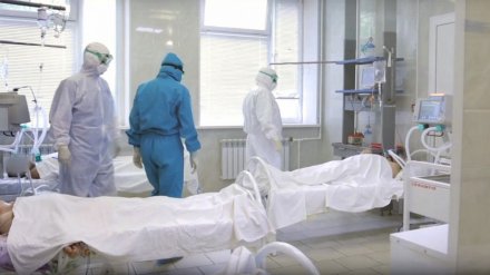 Число заразившихся коронавирусом воронежцев перевалило за 8 тысяч