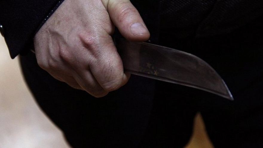 В воронежском селе нашли зарезанными старушку и её сына
