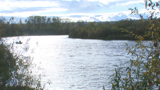 Разливом солярки в воронежский Дон заинтересовался Росприроднадзор