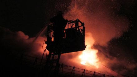 Воронежец умер в реанимации после пожара на Димитрова