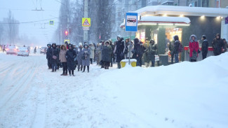 В Воронеже автобусы не смогли выйти на линию из-за сильных морозов