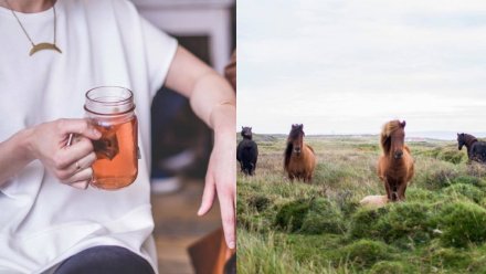 Чайные бега и спектакль в поле. Как провести длинные выходные в Воронеже