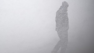 Энергетики подготовились к дежурству из-за усиления ветра в Воронеже
