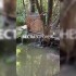 Потоки грязной воды попали в Воронежское водохранилище из-за засора на коллекторе
