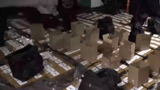 Студентке из Воронежа продлили арест за контрабанду 673 кг кокаина