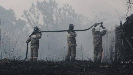 В Воронеже запахло гарью из-за разбушевавшихся лесных пожаров