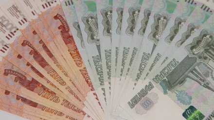Средняя зарплата перешагнула в Воронеже отметку в 51 тыс. рублей