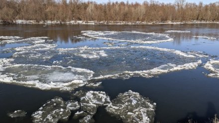 Весенний ледоход на Дону в Воронежской области показали на фото