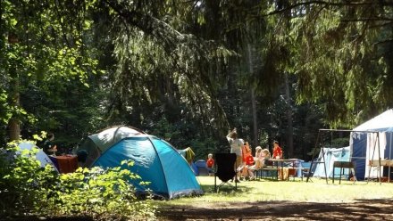 В Воронежской области возродят закрывшиеся из-за ковида детские палаточные лагеря