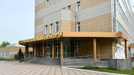 В воронежских роддомах пройдут дни открытых дверей