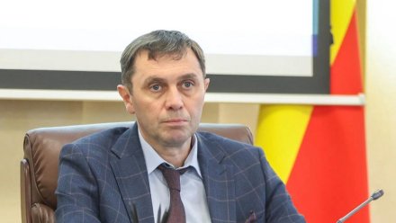 Мэру Воронежа Сергею Петрину рассказали о подготовке к новому отопительному сезону