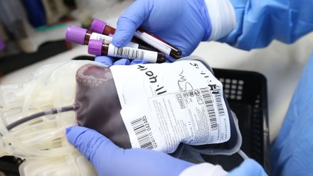 Воронежцы сдали более 31,5 тыс. литров крови в 2020 году 