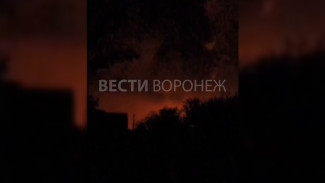 Появилось видео пожара в Кантемировском районе после атаки ВСУ