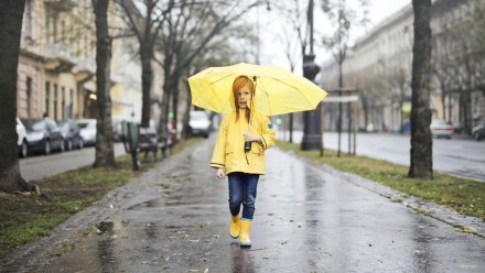 На Воронежскую область надвигаются резкое похолодание и дожди
