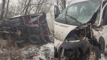 Водитель пострадал в ДТП с микроавтобусом и грузовиком на заснеженной воронежской трассе